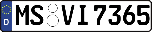 MS-VI7365