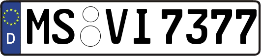 MS-VI7377