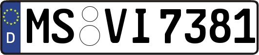 MS-VI7381