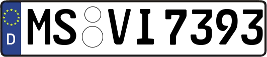 MS-VI7393