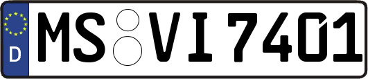 MS-VI7401