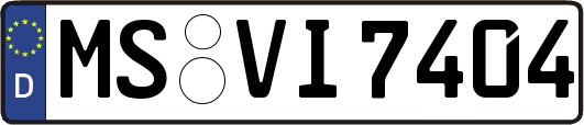 MS-VI7404