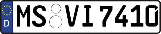 MS-VI7410