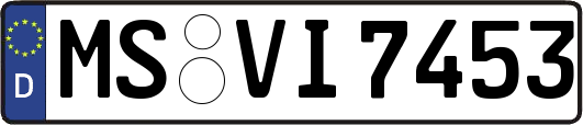 MS-VI7453