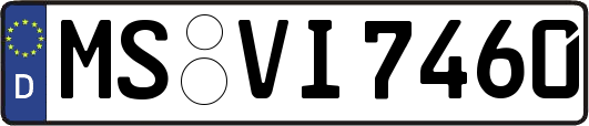 MS-VI7460