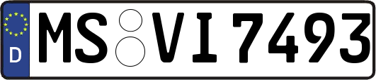 MS-VI7493