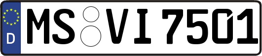 MS-VI7501
