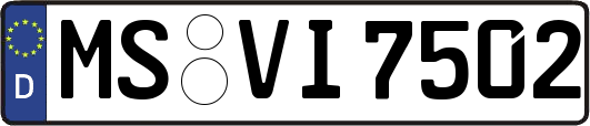 MS-VI7502