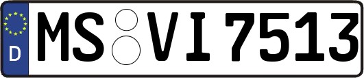 MS-VI7513