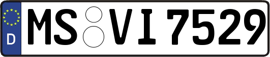 MS-VI7529