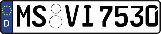 MS-VI7530