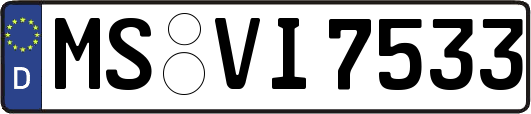MS-VI7533