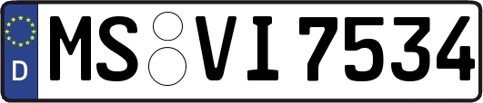 MS-VI7534