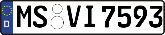 MS-VI7593
