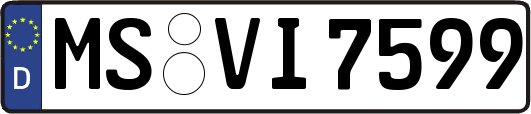 MS-VI7599