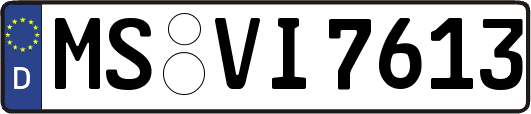 MS-VI7613
