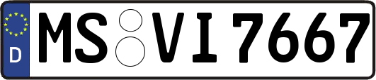 MS-VI7667