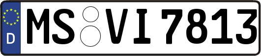 MS-VI7813