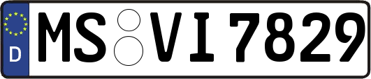 MS-VI7829