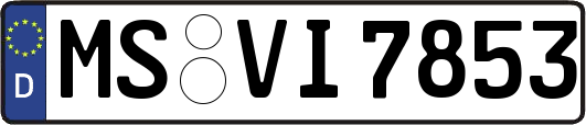 MS-VI7853