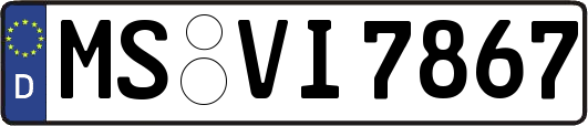 MS-VI7867