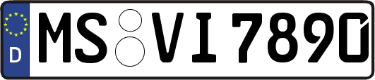 MS-VI7890