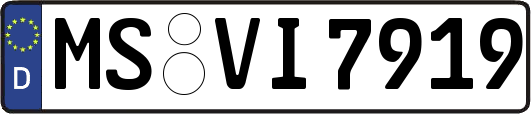 MS-VI7919
