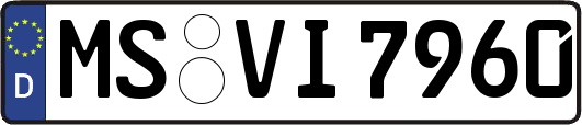 MS-VI7960