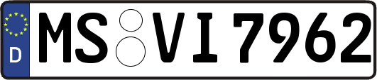 MS-VI7962