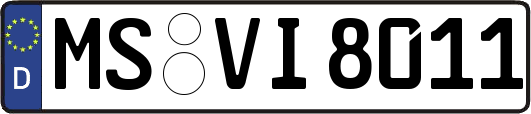 MS-VI8011