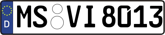 MS-VI8013