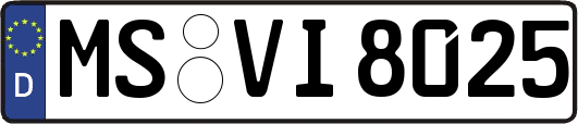 MS-VI8025