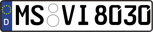 MS-VI8030