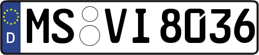 MS-VI8036