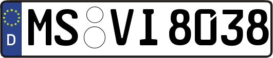 MS-VI8038