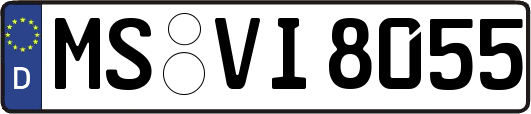 MS-VI8055