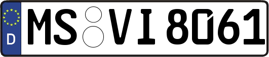 MS-VI8061