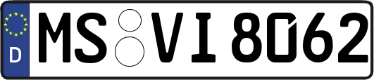 MS-VI8062