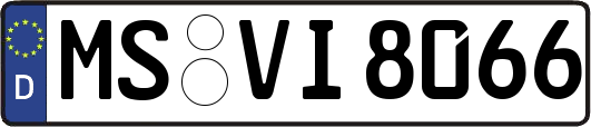 MS-VI8066