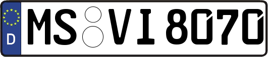 MS-VI8070