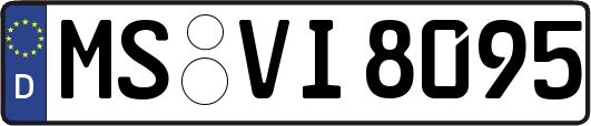 MS-VI8095