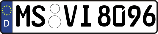 MS-VI8096