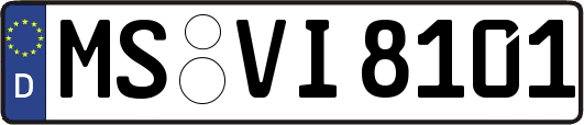 MS-VI8101