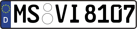 MS-VI8107