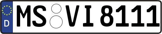 MS-VI8111