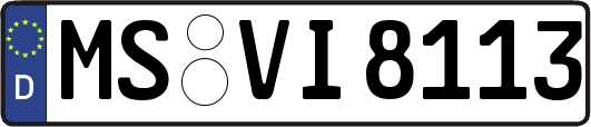 MS-VI8113