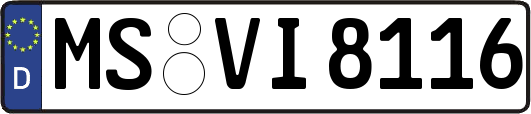 MS-VI8116