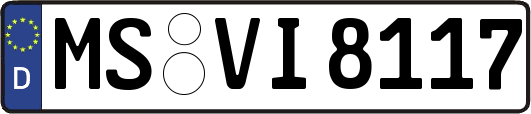 MS-VI8117