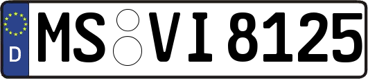 MS-VI8125