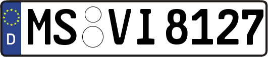MS-VI8127